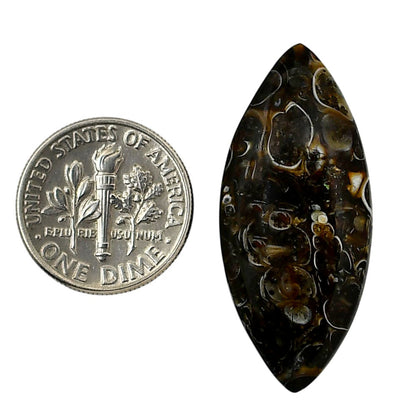 Turtella Jasper 15.5x35x5.3 mm Marquise Shape Polished Gemstone LS70-05789