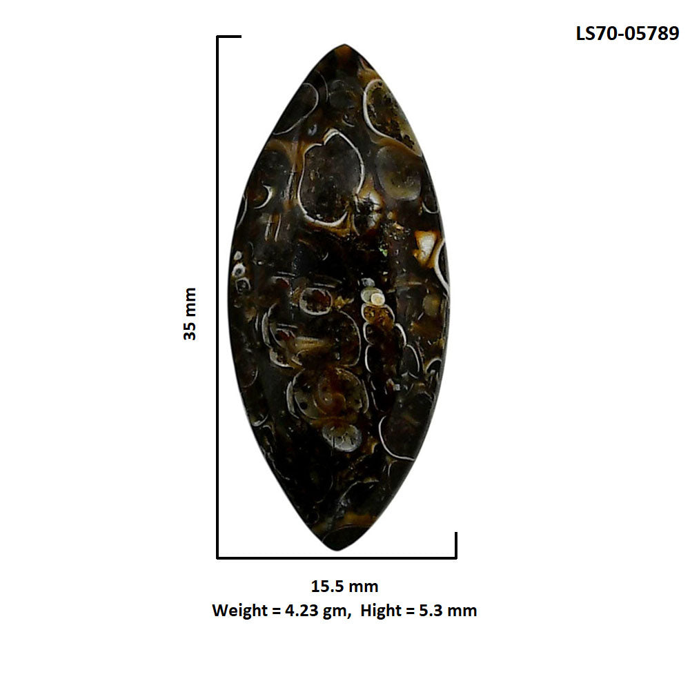 Turtella Jasper 15.5x35x5.3 mm Marquise Shape Polished Gemstone LS70-05789