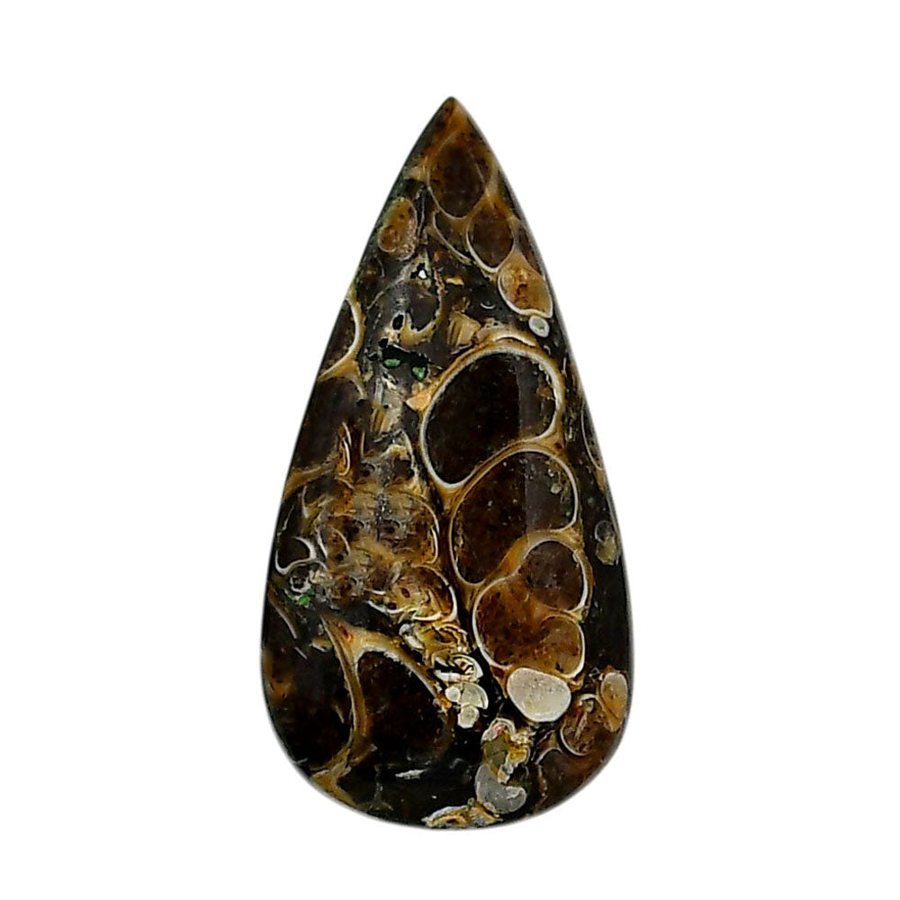 Turtella Jasper 18x35.5x6.5 mm Pear Shape Polished Gemstone LS70-05790