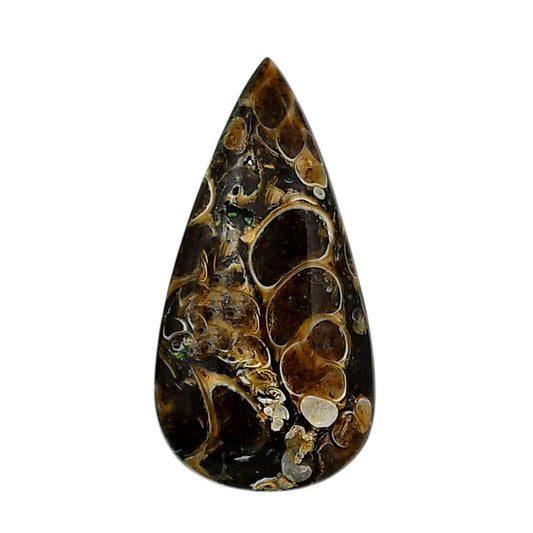 Turtella Jasper 18x35.5x6.5 mm Pear Shape Polished Gemstone LS70-05790