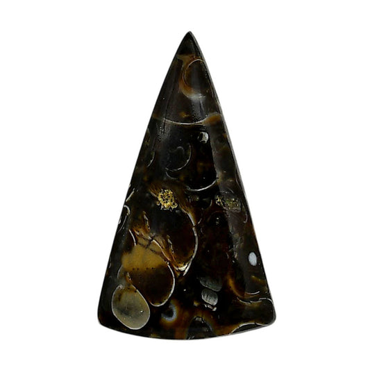 Turtella Jasper 20.3x35.4x5.5 mm Fancy Shape Polished Gemstone LS70-05791