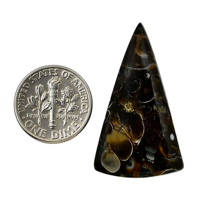 Turtella Jasper 20.3x35.4x5.5 mm Fancy Shape Polished Gemstone LS70-05791