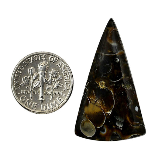 Turtella Jasper 20.3x35.4x5.5 mm Fancy Shape Polished Gemstone LS70-05791