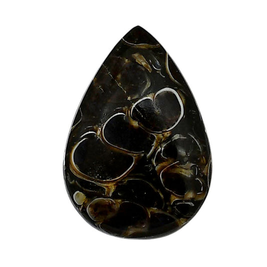Turtella Jasper 19x27.45x5.5 mm Pear Shape Polished Gemstone LS70-05792