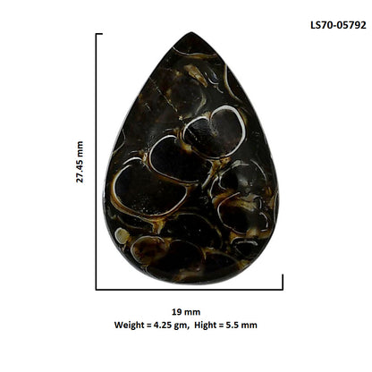 Turtella Jasper 19x27.45x5.5 mm Pear Shape Polished Gemstone LS70-05792
