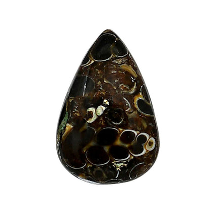 Turtella Jasper 17.6x26.45x5.5 mm Pear Shape Polished Gemstone LS70-05793
