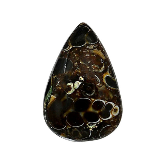 Turtella Jasper 17.6x26.45x5.5 mm Pear Shape Polished Gemstone LS70-05793