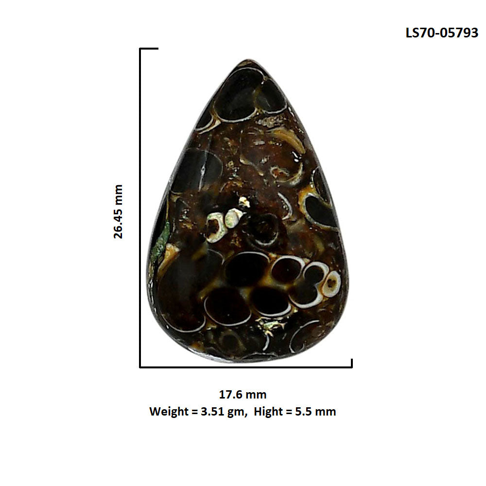 Turtella Jasper 17.6x26.45x5.5 mm Pear Shape Polished Gemstone LS70-05793