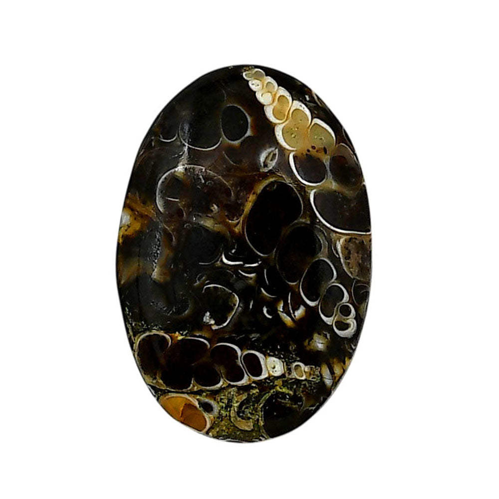 Turtella Jasper 19x27.85x5.5 mm Oval Shape Polished Gemstone LS70-05794