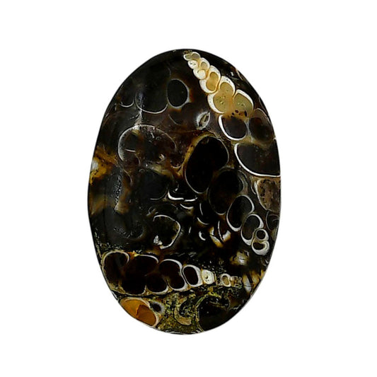 Turtella Jasper 19x27.85x5.5 mm Oval Shape Polished Gemstone LS70-05794