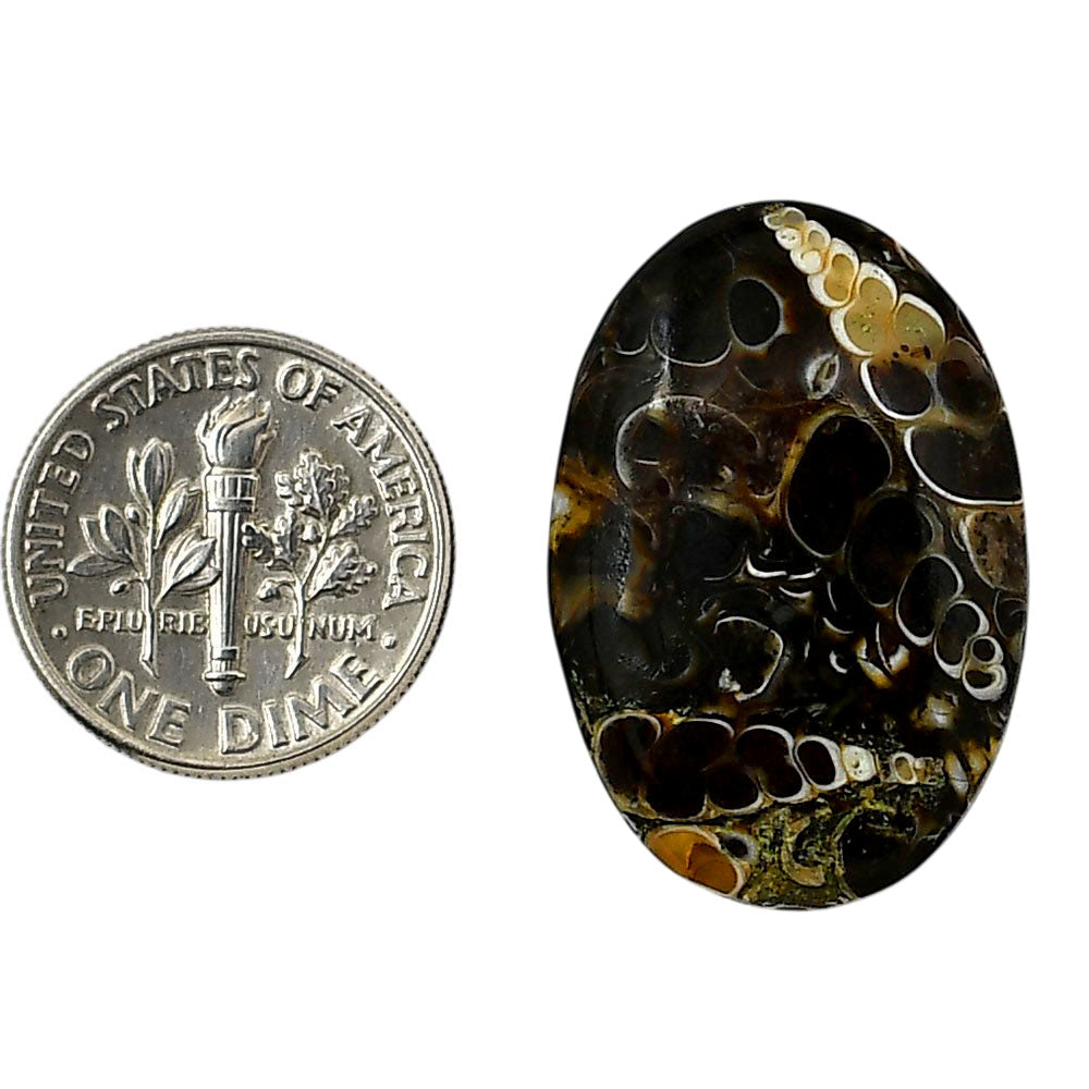 Turtella Jasper 19x27.85x5.5 mm Oval Shape Polished Gemstone LS70-05794
