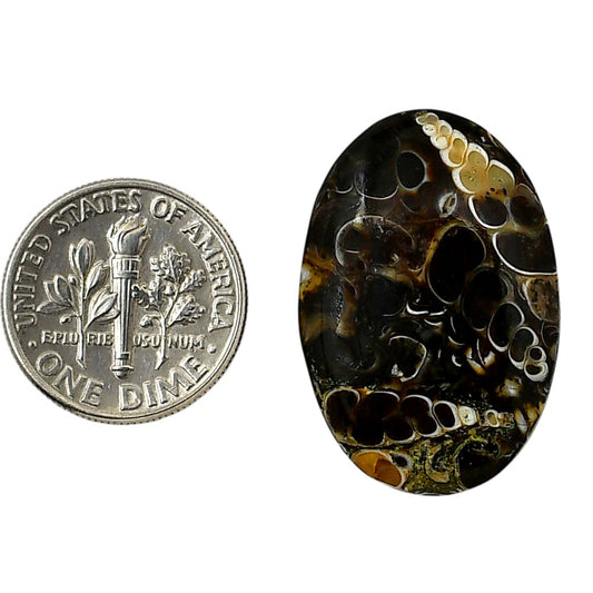 Turtella Jasper 19x27.85x5.5 mm Oval Shape Polished Gemstone LS70-05794