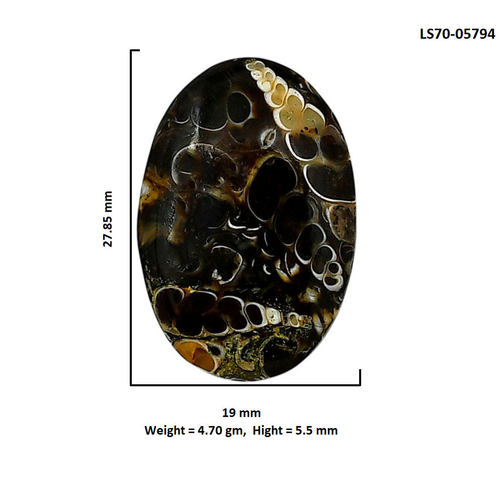 Turtella Jasper 19x27.85x5.5 mm Oval Shape Polished Gemstone LS70-05794