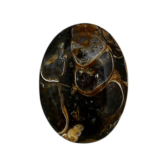 Turtella Jasper 18.5x25x6 mm Oval Shape Polished Gemstone LS70-05795
