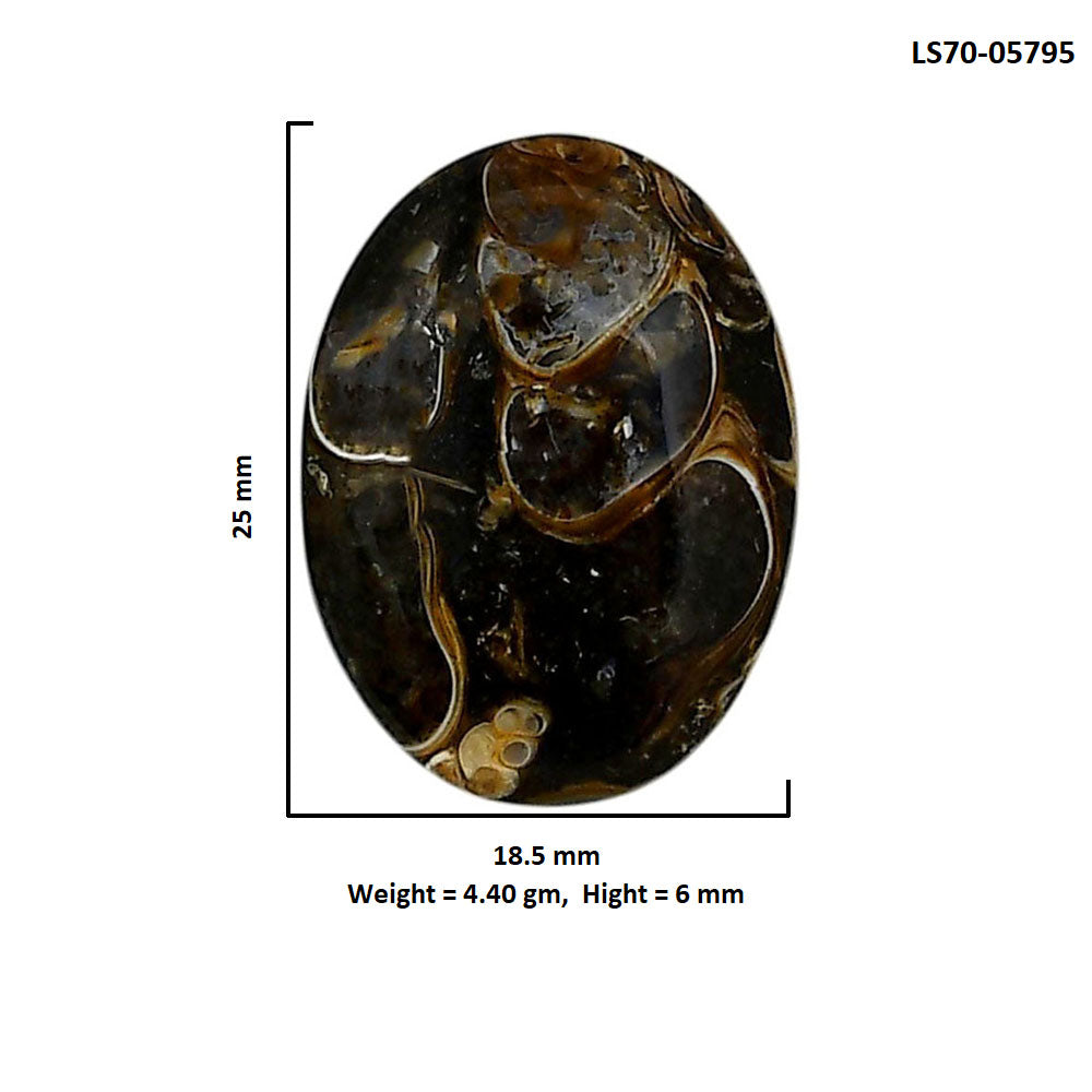 Turtella Jasper 18.5x25x6 mm Oval Shape Polished Gemstone LS70-05795