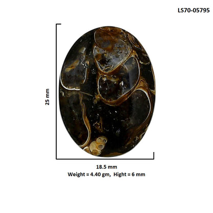 Turtella Jasper 18.5x25x6 mm Oval Shape Polished Gemstone LS70-05795