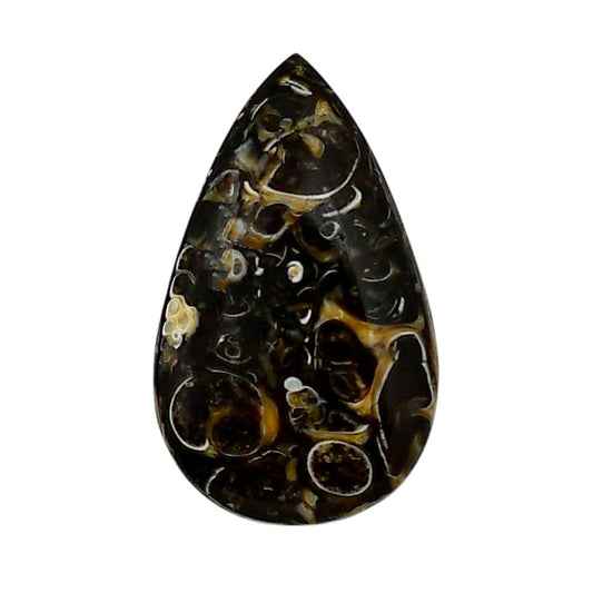 Turtella Jasper 17.6x29.2x5 mm Pear Shape Polished Gemstone LS70-05796