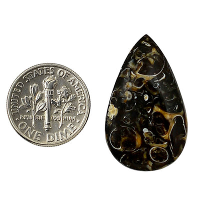 Turtella Jasper 17.6x29.2x5 mm Pear Shape Polished Gemstone LS70-05796