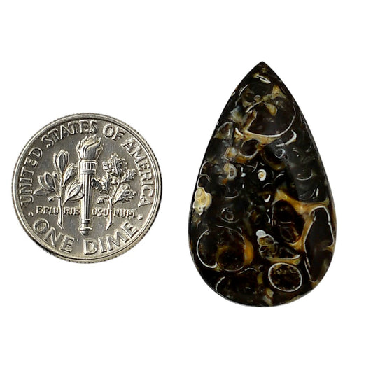 Turtella Jasper 17.6x29.2x5 mm Pear Shape Polished Gemstone LS70-05796