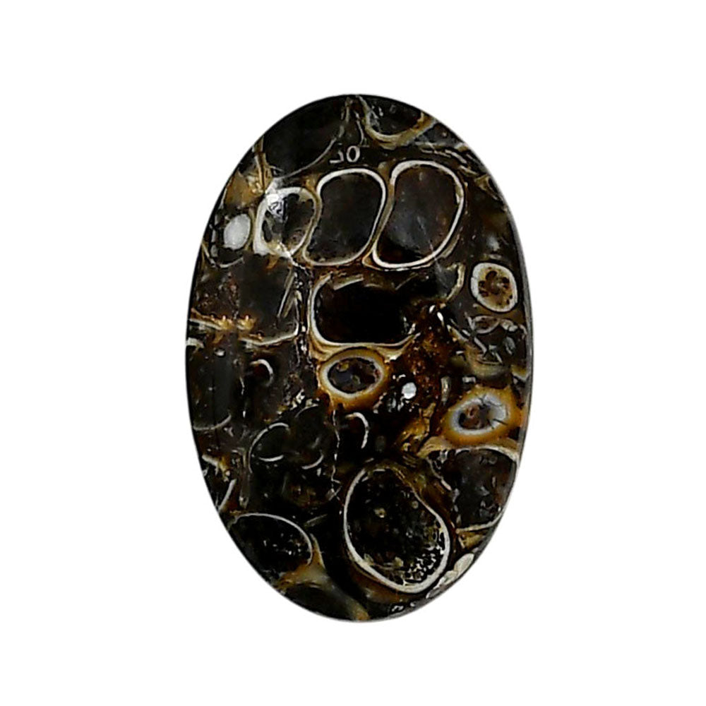 Turtella Jasper 16x24.55x4.5 mm Oval Shape Polished Gemstone LS70-05797
