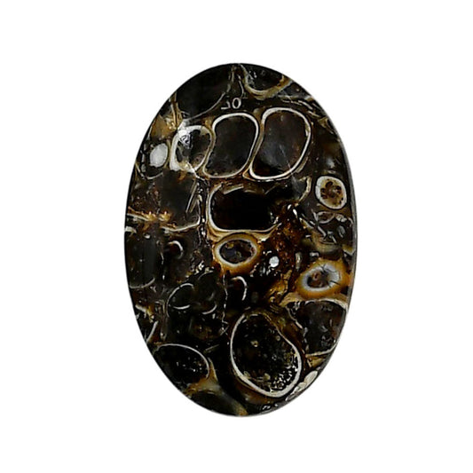 Turtella Jasper 16x24.55x4.5 mm Oval Shape Polished Gemstone LS70-05797
