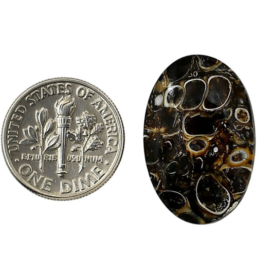 Turtella Jasper 16x24.55x4.5 mm Oval Shape Polished Gemstone LS70-05797