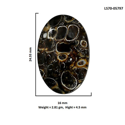 Turtella Jasper 16x24.55x4.5 mm Oval Shape Polished Gemstone LS70-05797