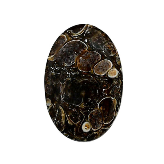 Turtella Jasper 17.2x25.8x3.5 mm Oval Shape Polished Gemstone LS70-05798