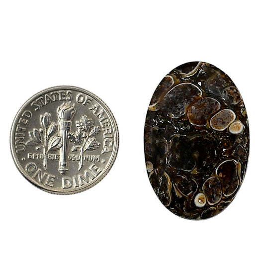Turtella Jasper 17.2x25.8x3.5 mm Oval Shape Polished Gemstone LS70-05798