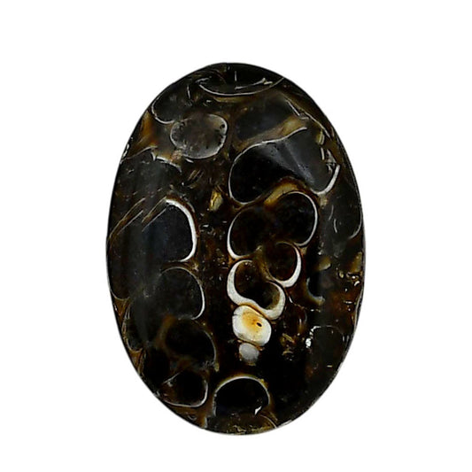 Turtella Jasper 18.2x26.25x4 mm Oval Shape Polished Gemstone LS70-05799
