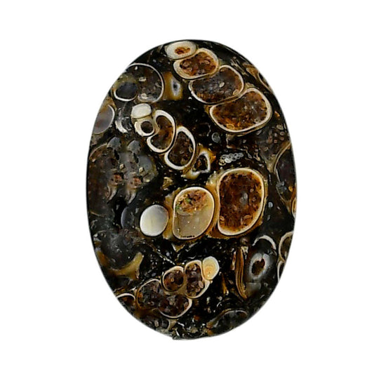 Turtella Jasper 19.5x28x3.5 mm Oval Shape Polished Gemstone LS70-05800