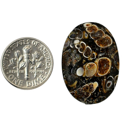 Turtella Jasper 19.5x28x3.5 mm Oval Shape Polished Gemstone LS70-05800