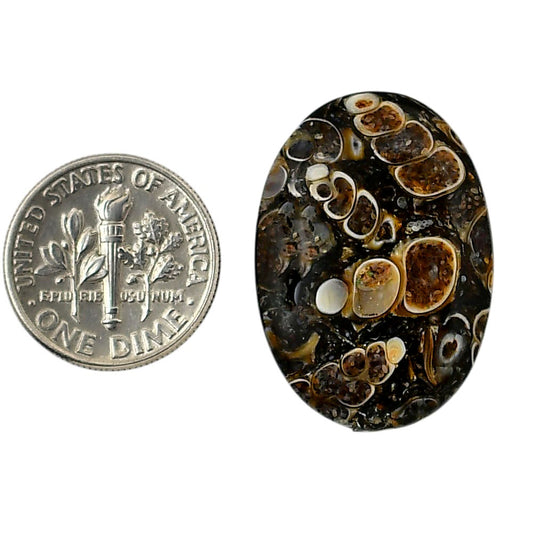 Turtella Jasper 19.5x28x3.5 mm Oval Shape Polished Gemstone LS70-05800