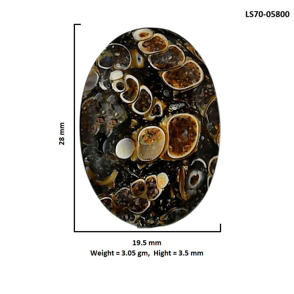 Turtella Jasper 19.5x28x3.5 mm Oval Shape Polished Gemstone LS70-05800