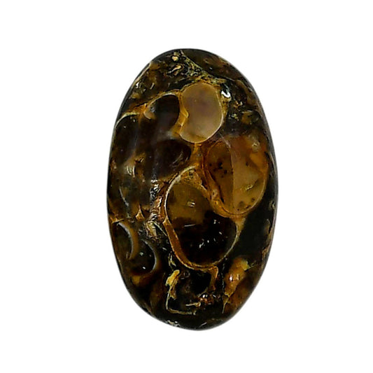 Turtella Jasper 15x24.9x6 mm Oval Shape Polished Gemstone LS70-05801
