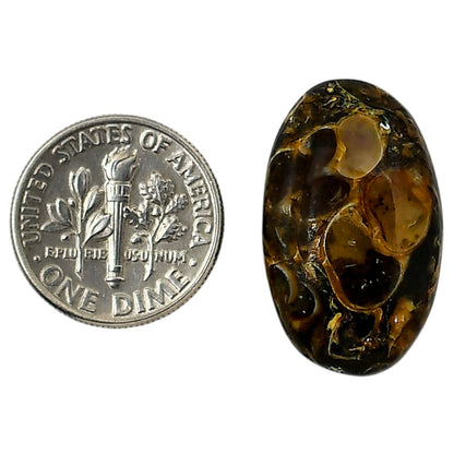 Turtella Jasper 15x24.9x6 mm Oval Shape Polished Gemstone LS70-05801