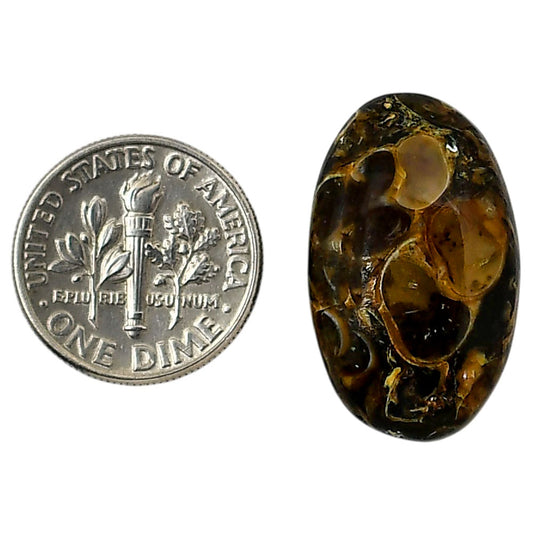 Turtella Jasper 15x24.9x6 mm Oval Shape Polished Gemstone LS70-05801