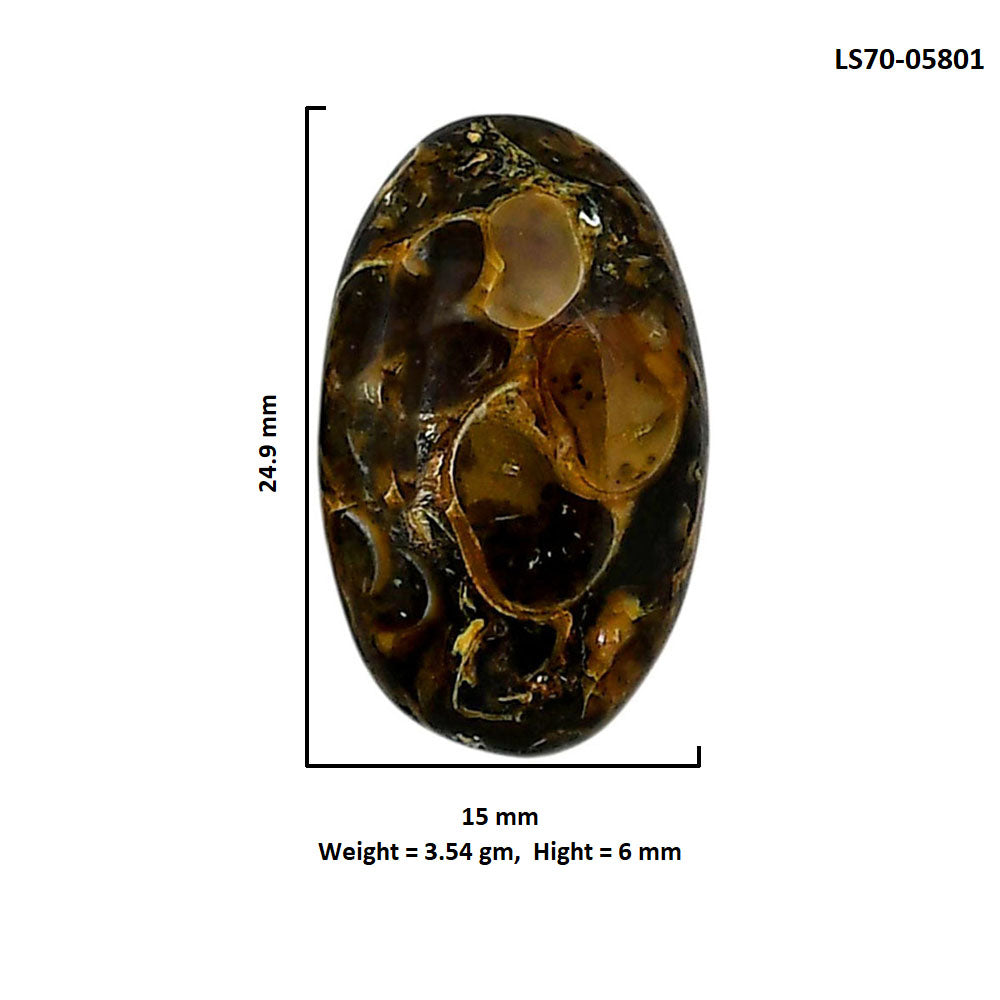 Turtella Jasper 15x24.9x6 mm Oval Shape Polished Gemstone LS70-05801