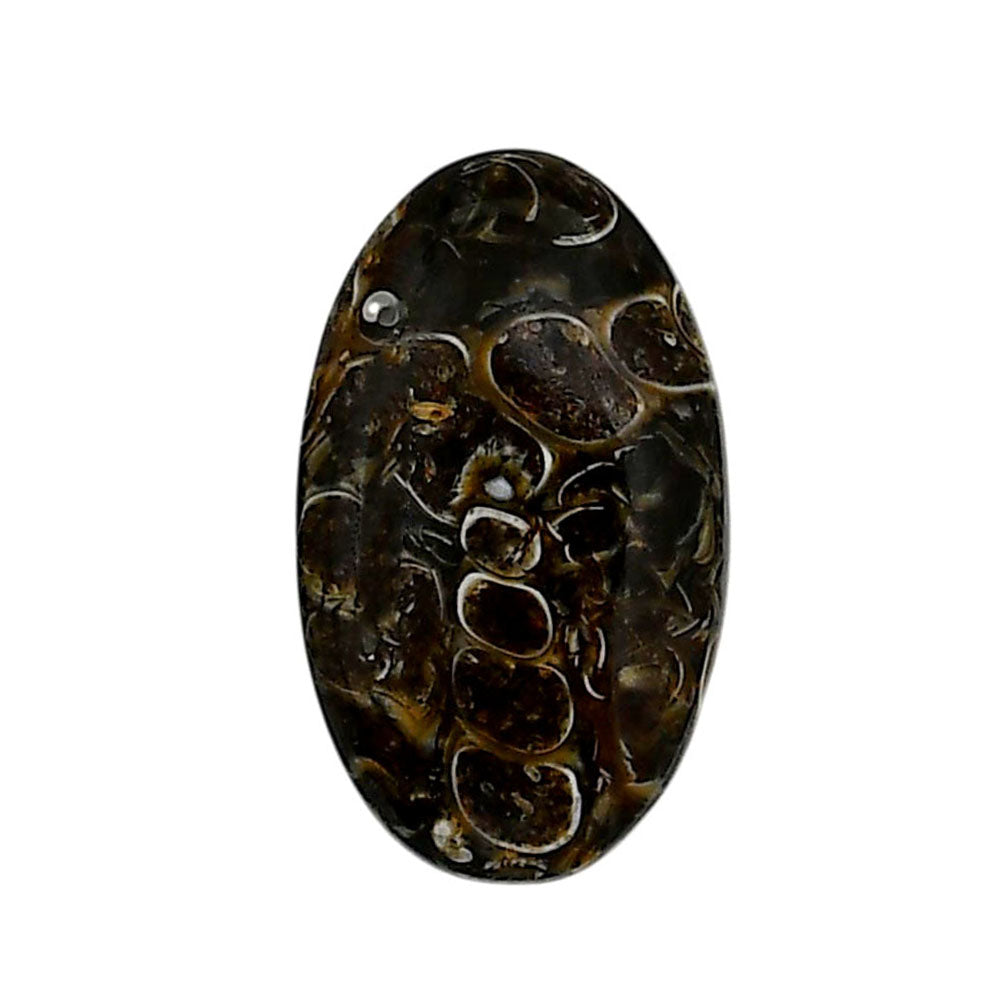 Turtella Jasper 15.2x25.7x5.3 mm Oval Shape Polished Gemstone LS70-05802