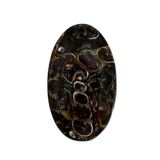 Turtella Jasper 15.2x25.7x5.3 mm Oval Shape Polished Gemstone LS70-05802