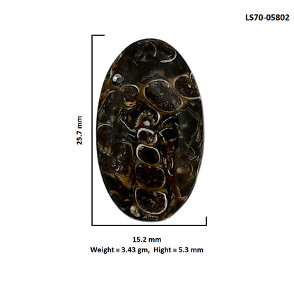 Turtella Jasper 15.2x25.7x5.3 mm Oval Shape Polished Gemstone LS70-05802