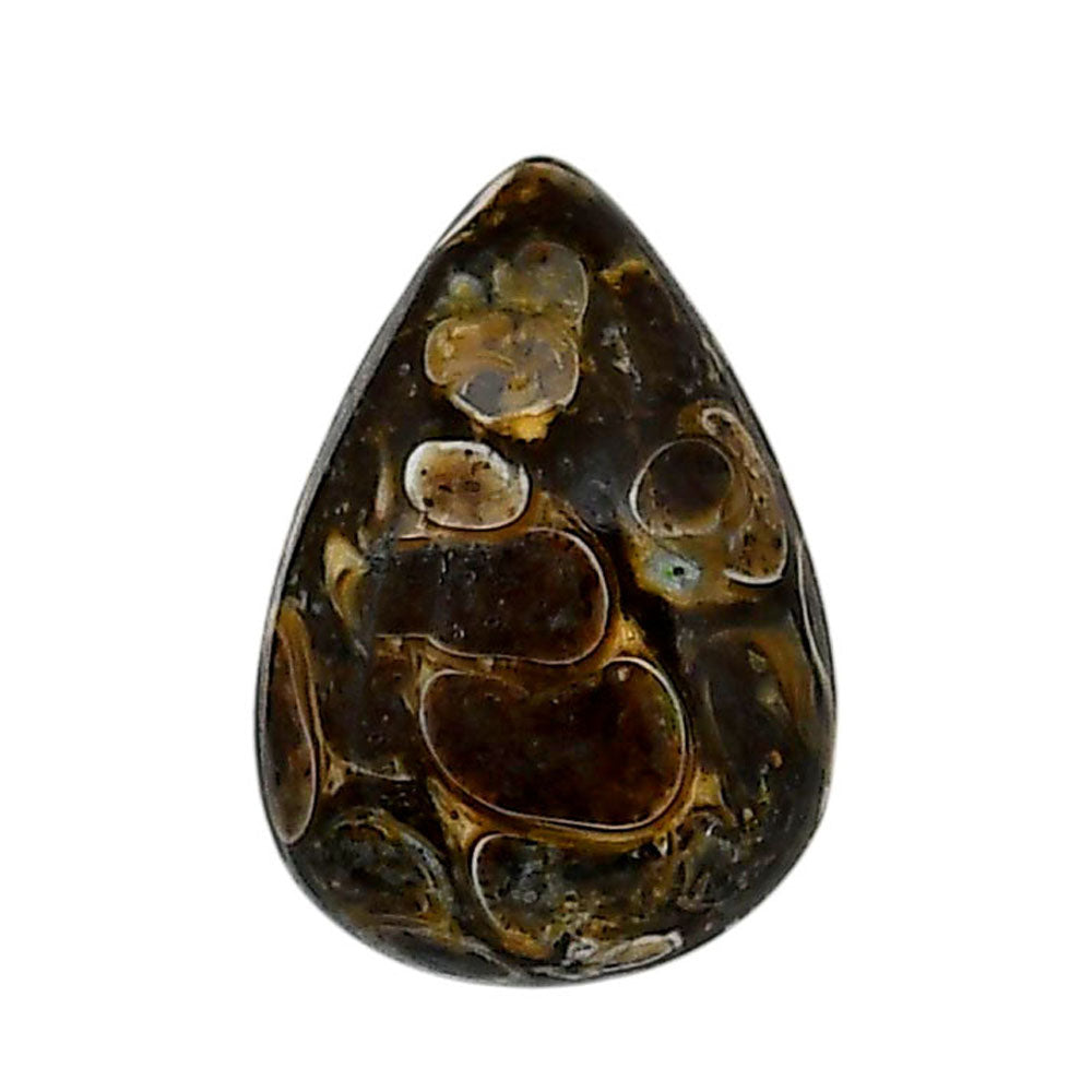 Turtella Jasper 16.5x35.55x6.7 mm Pear Shape Polished Gemstone LS70-05803