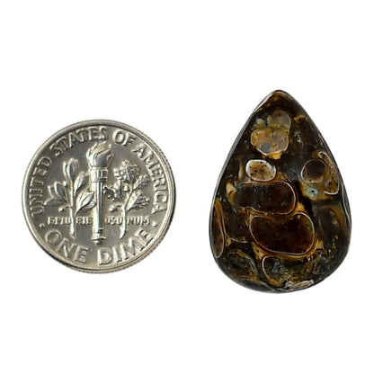 Turtella Jasper 16.5x35.55x6.7 mm Pear Shape Polished Gemstone LS70-05803