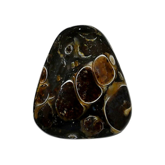 Turtella Jasper 20x23.2x6.7 mm Fancy Shape Polished Gemstone LS70-05804