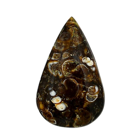 Turtella Jasper 19x31x6.7 mm Pear Shape Polished Gemstone LS70-05805