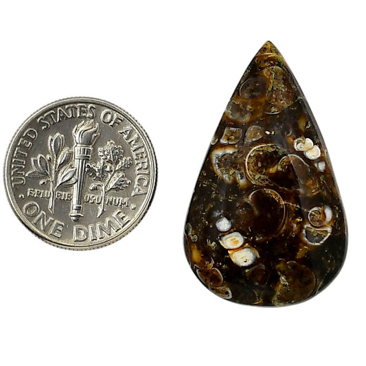 Turtella Jasper 19x31x6.7 mm Pear Shape Polished Gemstone LS70-05805