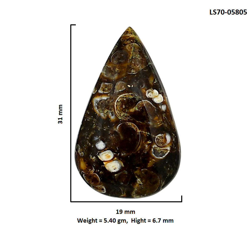 Turtella Jasper 19x31x6.7 mm Pear Shape Polished Gemstone LS70-05805