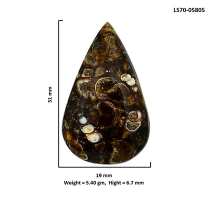 Turtella Jasper 19x31x6.7 mm Pear Shape Polished Gemstone LS70-05805