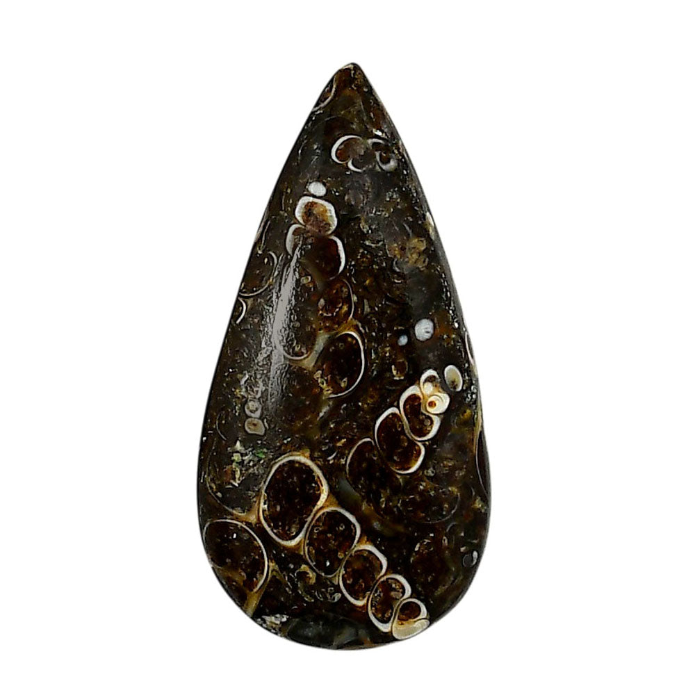 Turtella Jasper 18.1x36.15x5.5 mm Pear Shape Polished Gemstone LS70-05806
