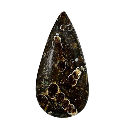 Turtella Jasper 18.1x36.15x5.5 mm Pear Shape Polished Gemstone LS70-05806